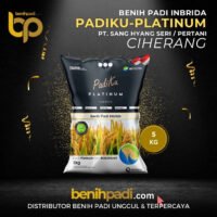 Benih Padi merek PADIKU PLATINUM Varietas Ciherang Produksi SHS