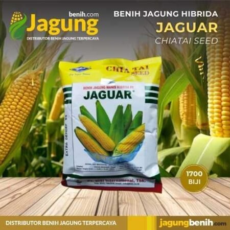 Benih Jagung JAGUAR - CHIA TAI SEED