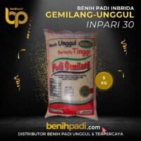 Benih Padi Inbrida Merk GEMILANG UNGGUL Varietas  INPARI 30